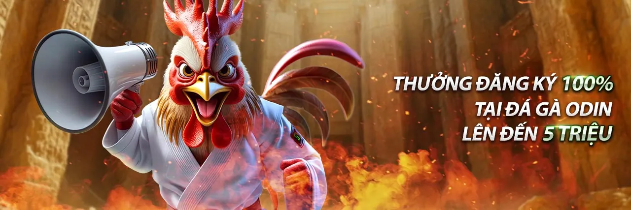 Hình ảnh tổng quan quy tắc trò chơi do99 win